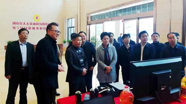 扎根大湘西 油茶產業助力精準扶貧