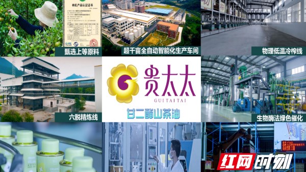 “貴太太”甘二酯山茶油 開啟茶油產業創新新紀元