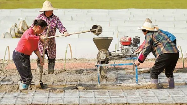 湖南日報丨聚力打造“生物制造谷”——常德貫徹落實全國兩會精神，推動合成生物制造產(chǎn)業(yè)高質(zhì)量發(fā)展
